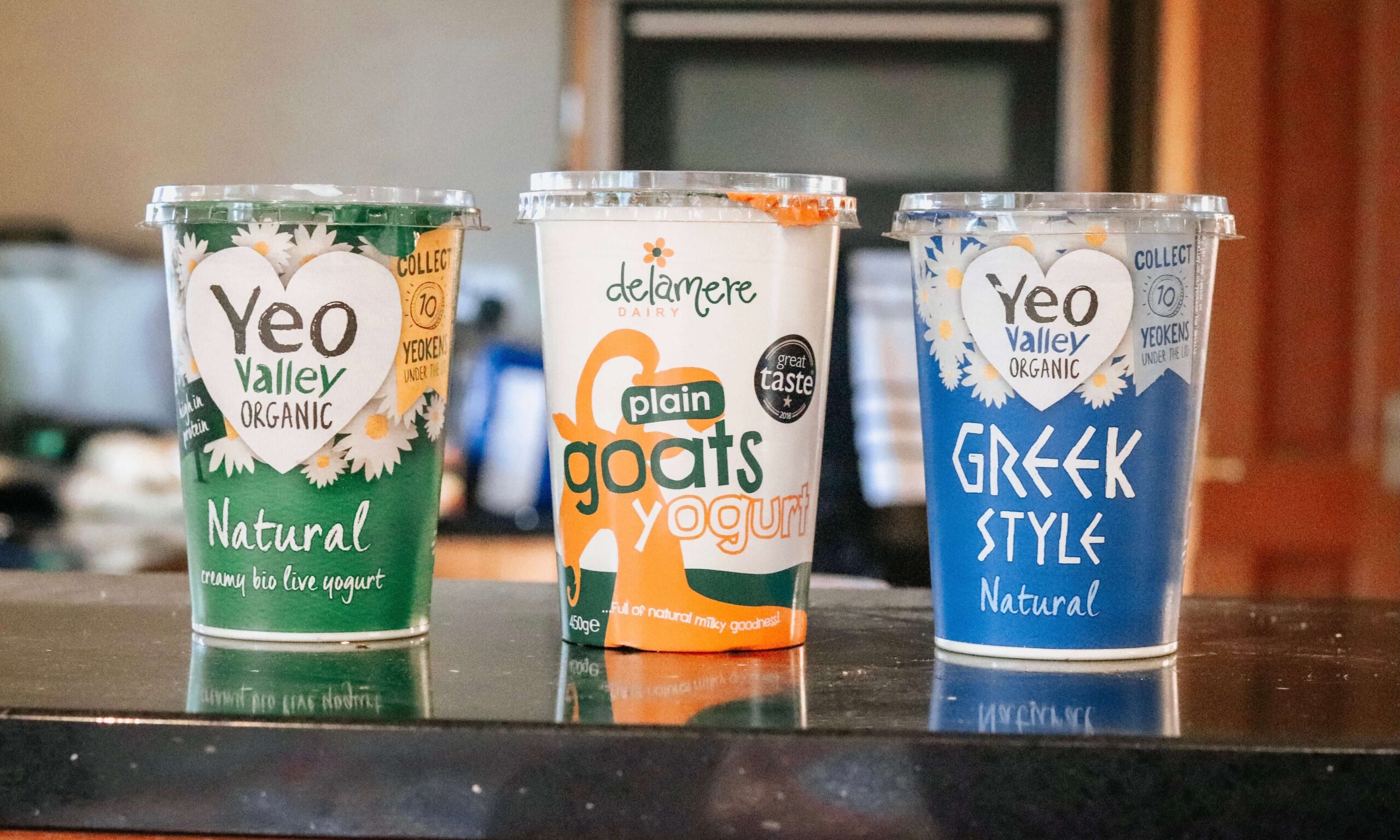 Greek yogurt in dog food for digestive health and probiotics