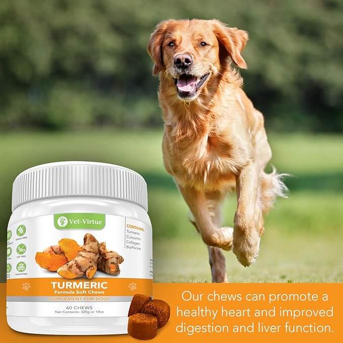 Turmeric in dog food for anti-inflammatory benefits and joint health