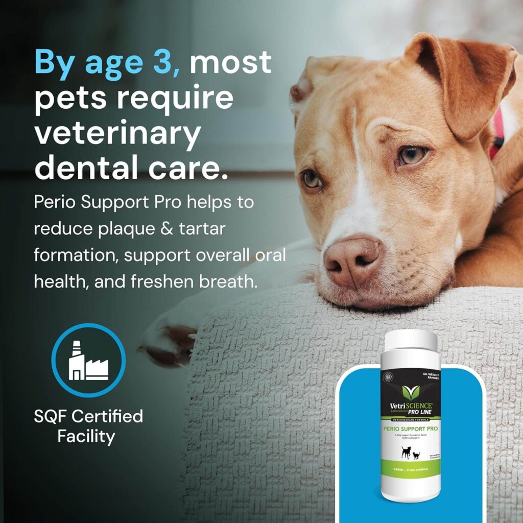VetriScience Perio Support Pro dental supplement for dogs and cats – reduces plaque and tartar, supports pet oral health, and freshens breath. Vet-recommended dental care for pets aged 3+ years. SQF Certified and part of the VetriScience PRO Line.
